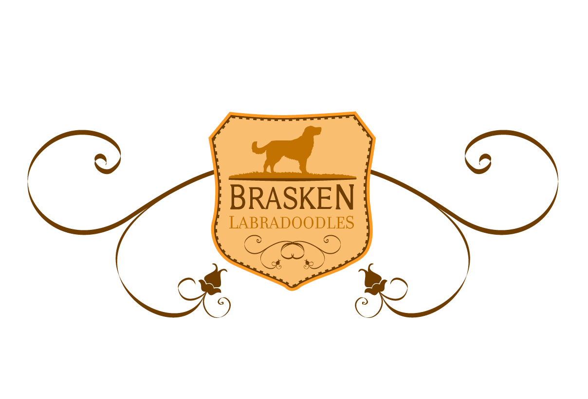 brasken kennels