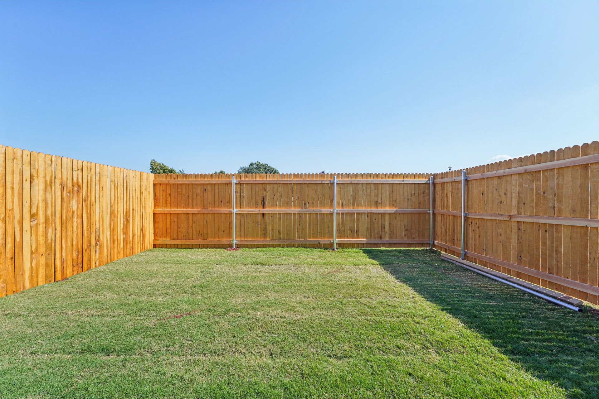 Green grass in a fenced backyard with wooden panels under a clear blue sky.