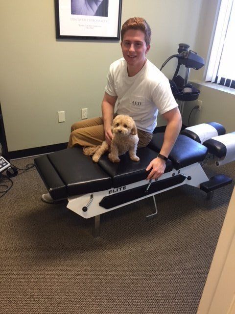 ginger helping out in the office