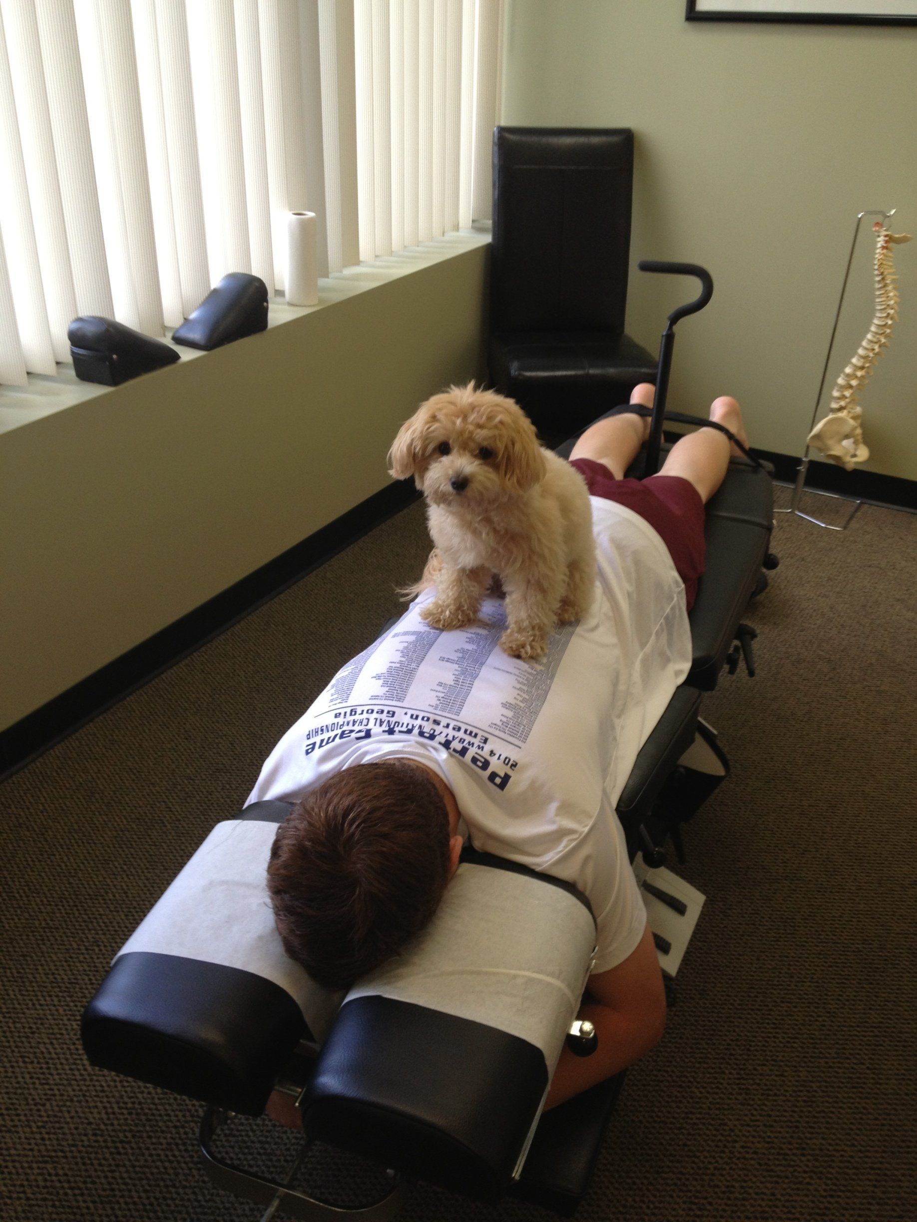 ginger practicing her chiropractic skills