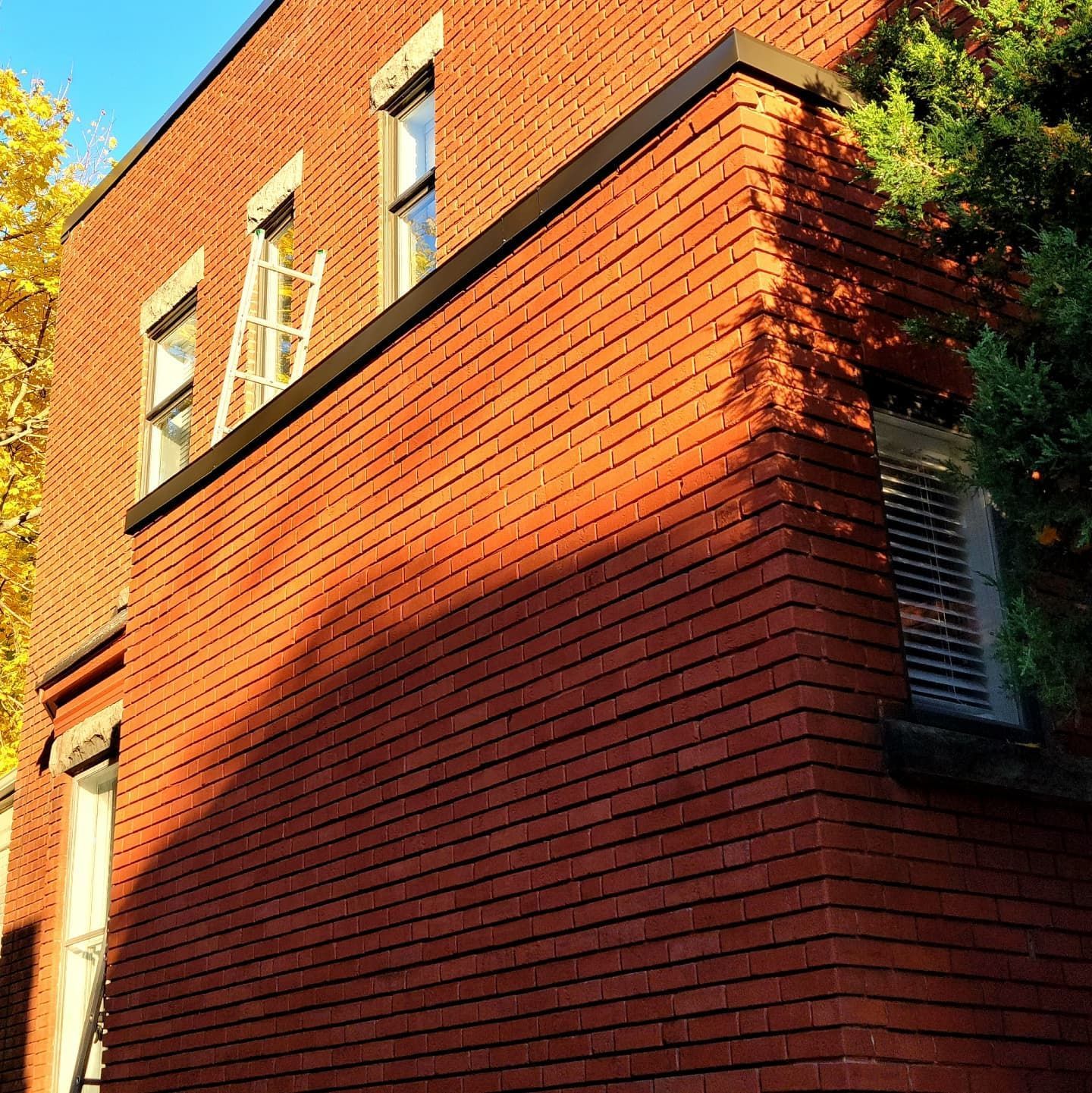 Coin de bâtiment en briques avec fenêtres ; l'échelle repose contre le mur.