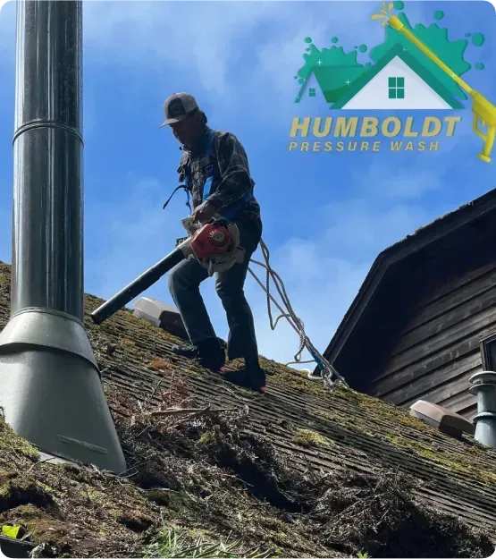 Man blowing debris off a mossy roof with a leaf blower, logo in the corner.