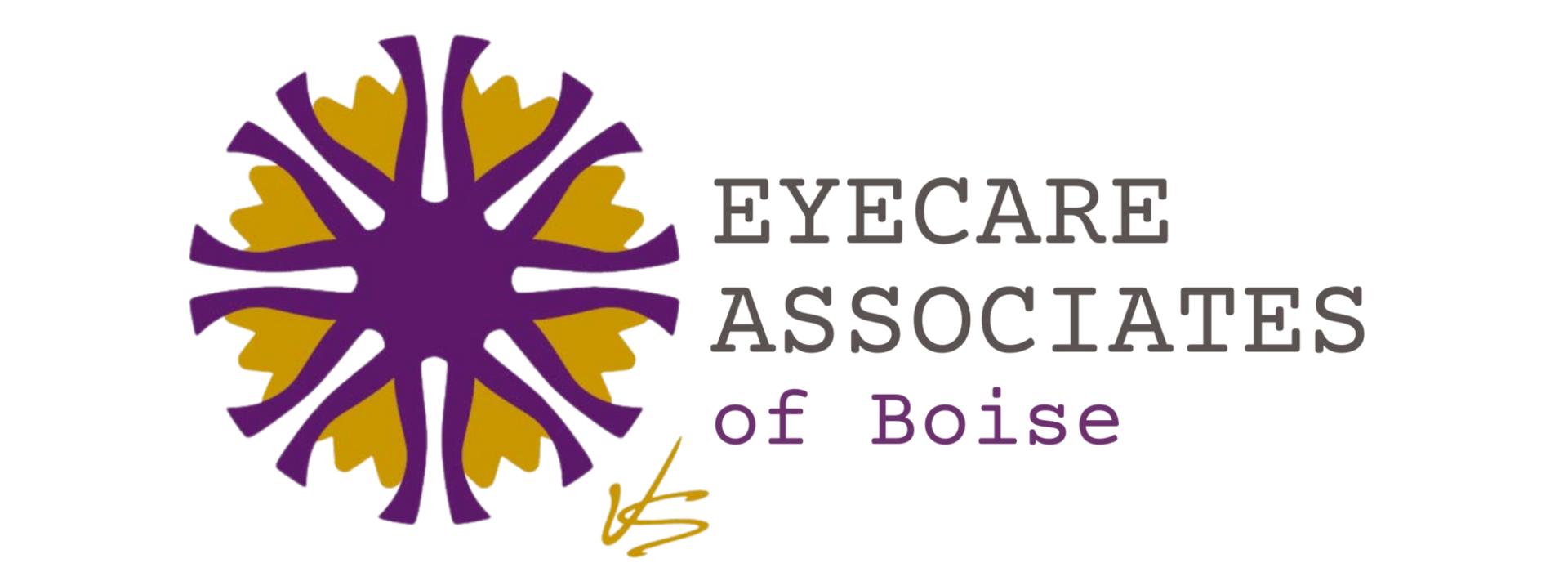 A logo for the eyecare associates of boise