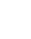 ring city usa