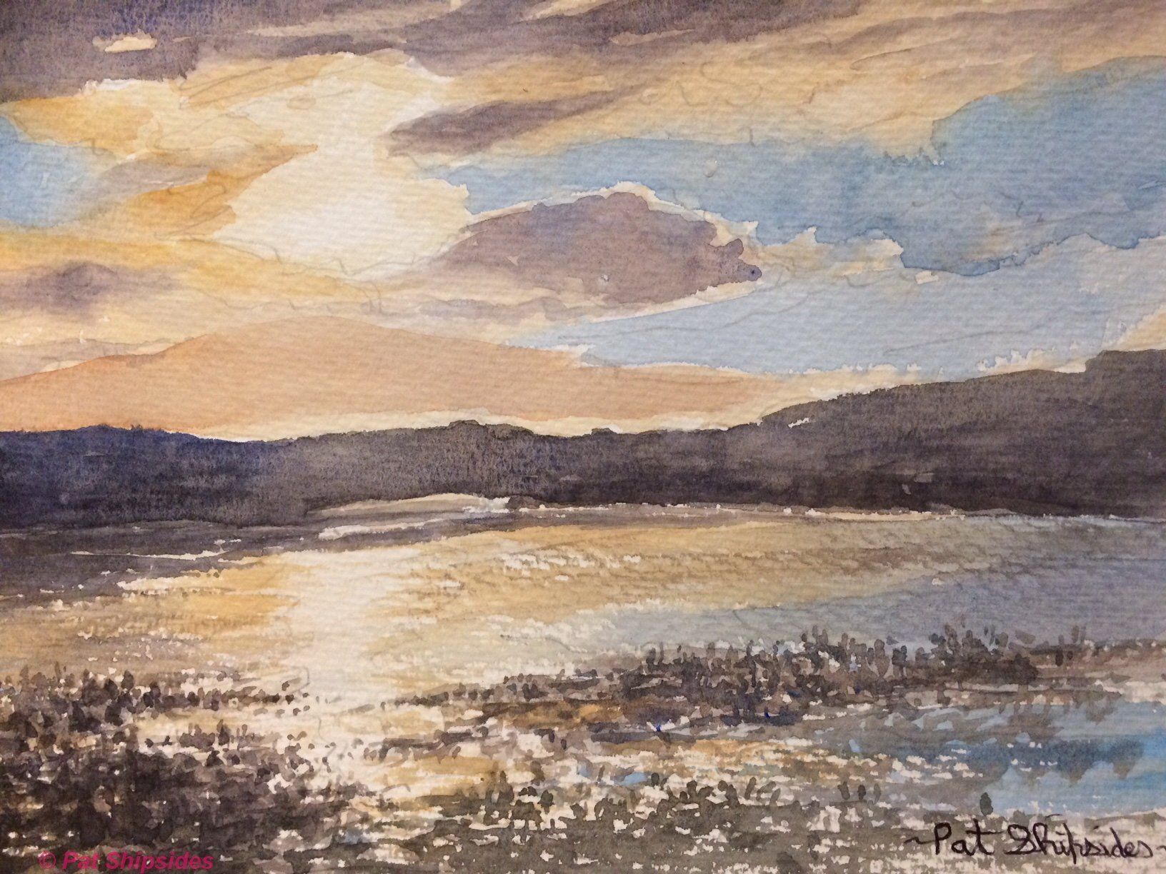 Bristol 1904 Arts, Artist Member painting