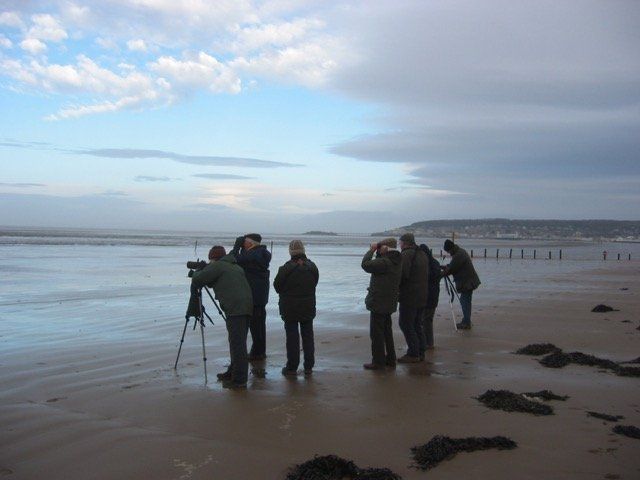 Bristol 1904 Arts - Bird Watchers (Birding) group