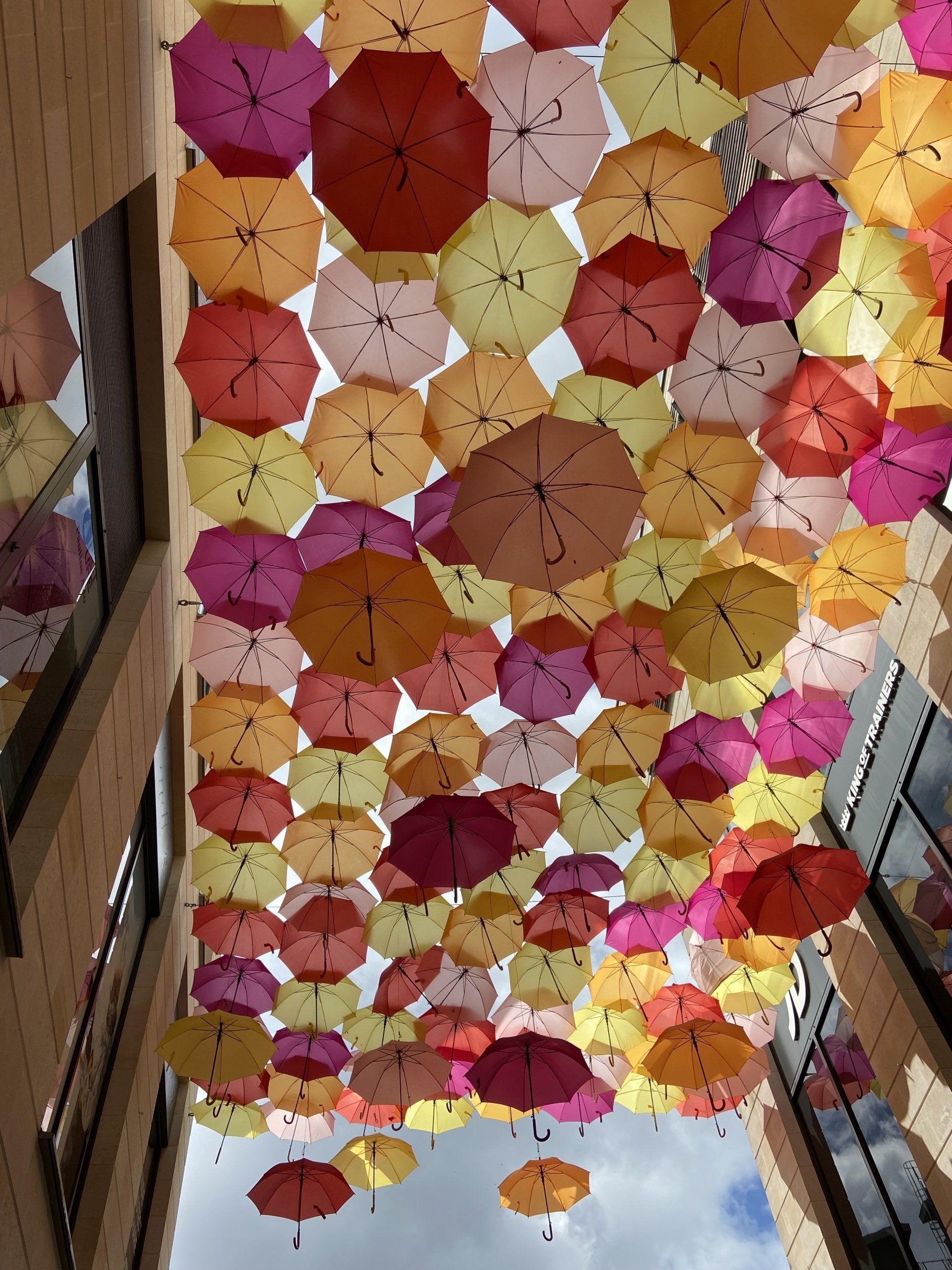 One of several images of the Photographic group, called Snappers!