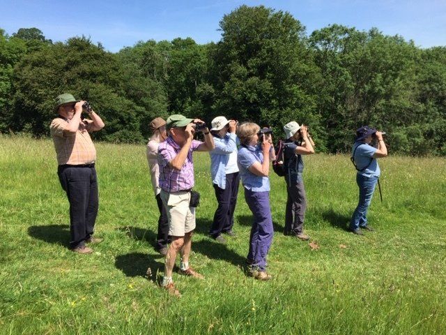 Bristol 1904 Arts - the Bird Watcher group on a day out