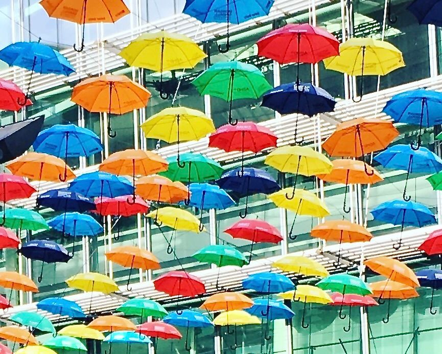 Bristol 1904 Photography 