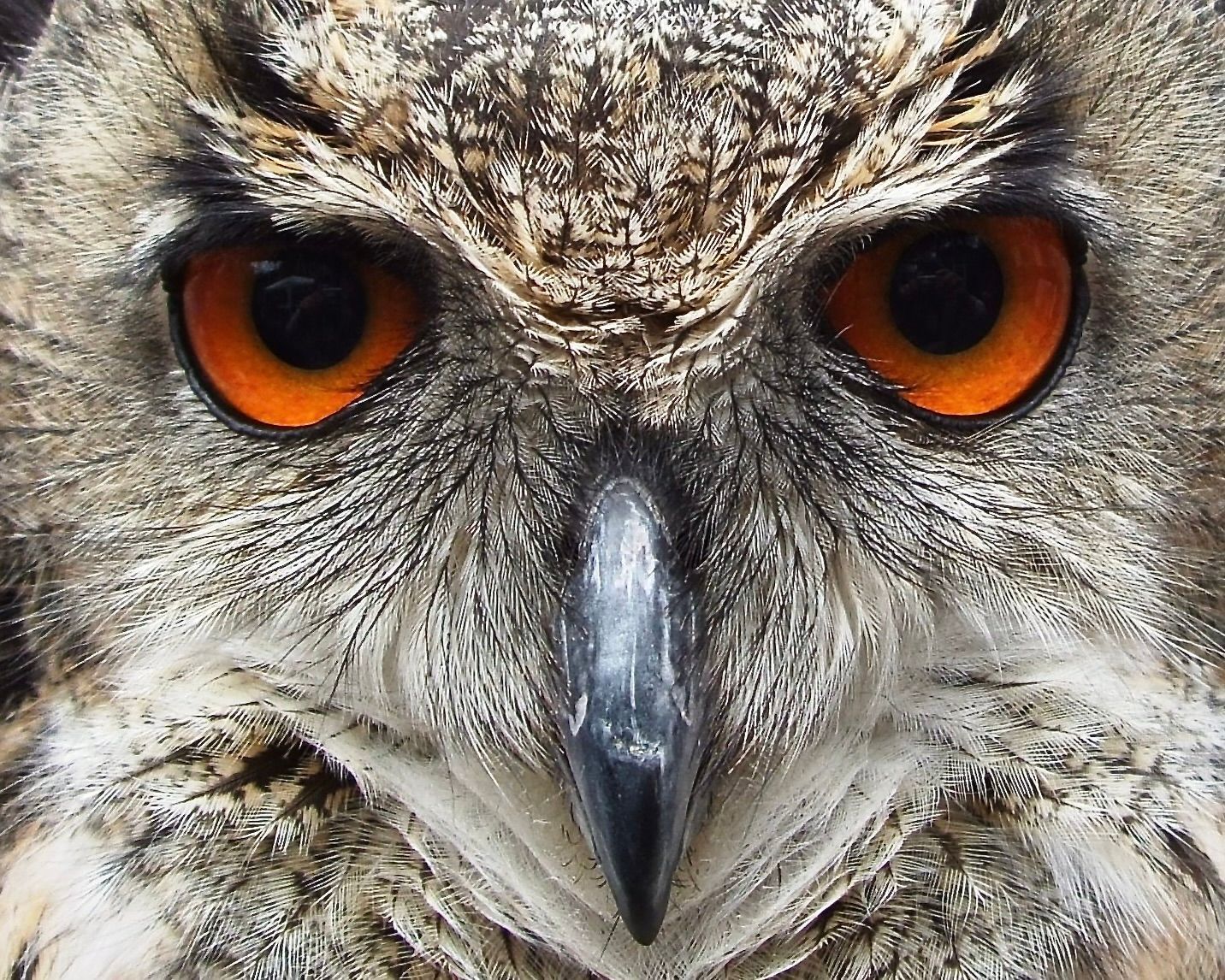 Bristol 1904 Photography 