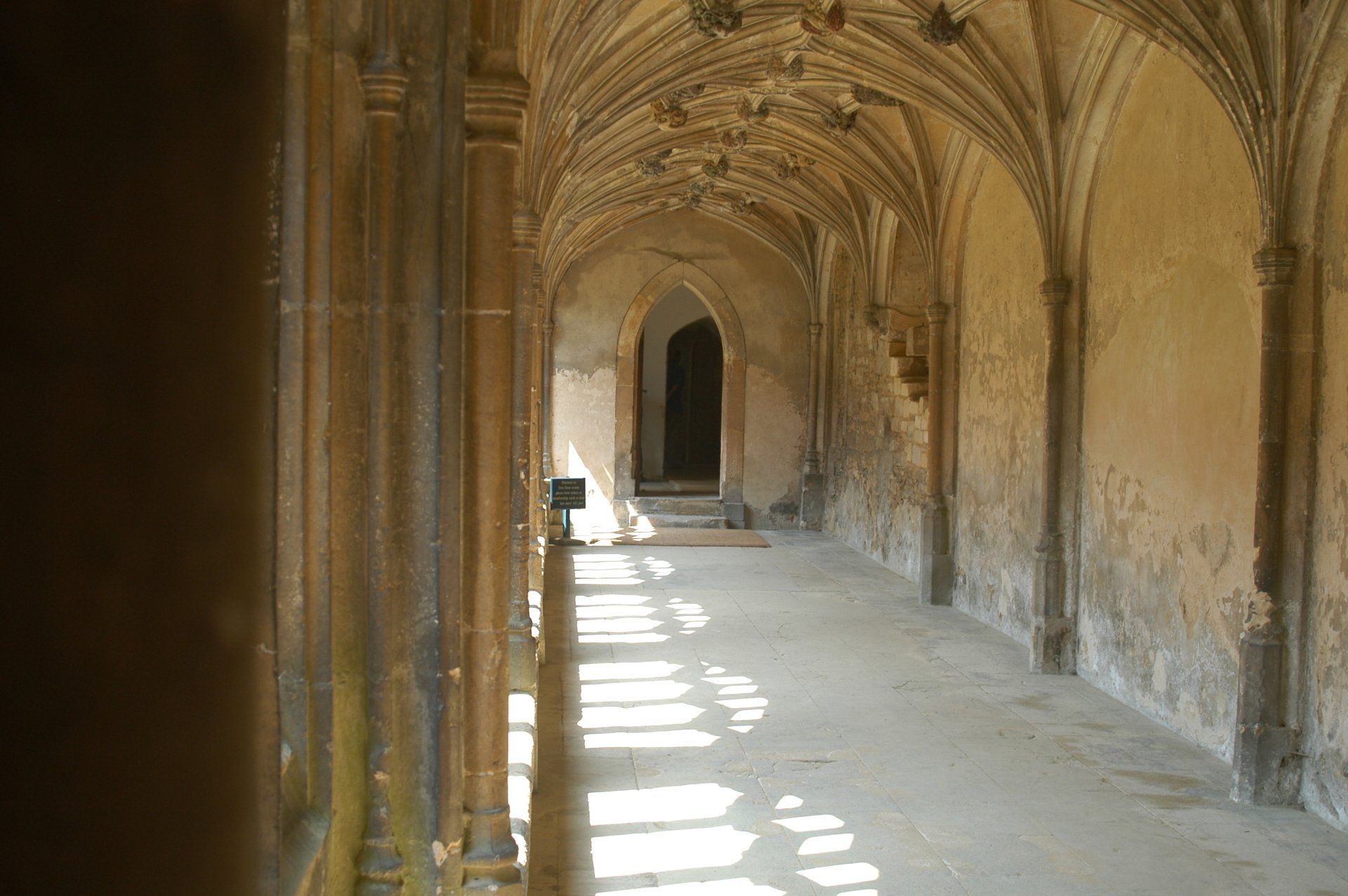 Bristol 1904 Arts - Photography group photo sample exhibit