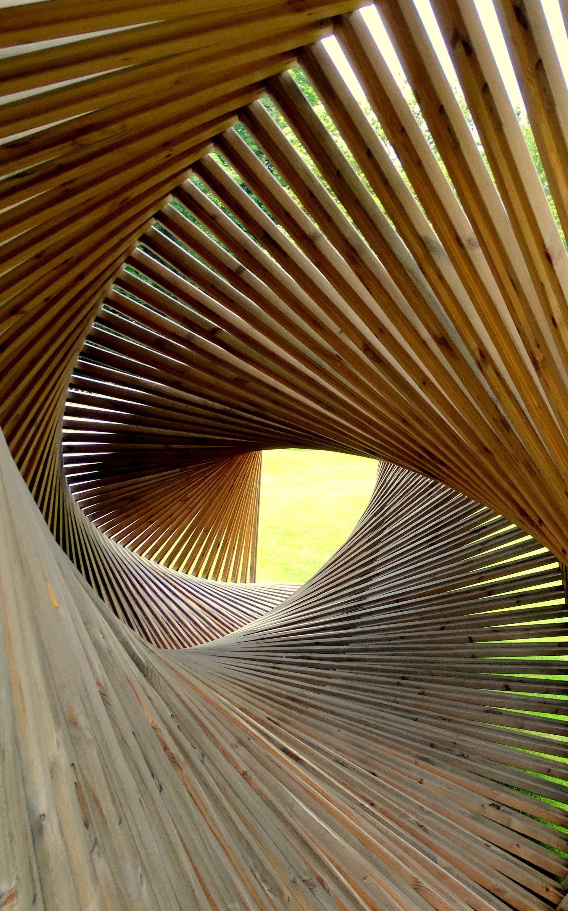 Bristol 1904 Arts - Photography group photo sample exhibit