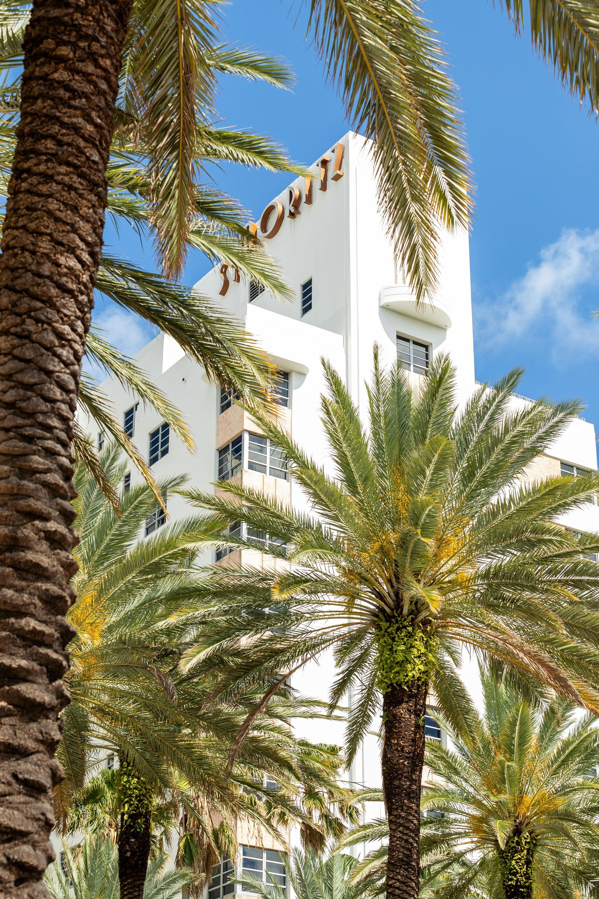 A white building with a lot of palm trees in front of it