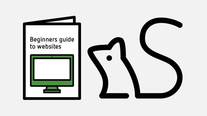 beginners guide to websites