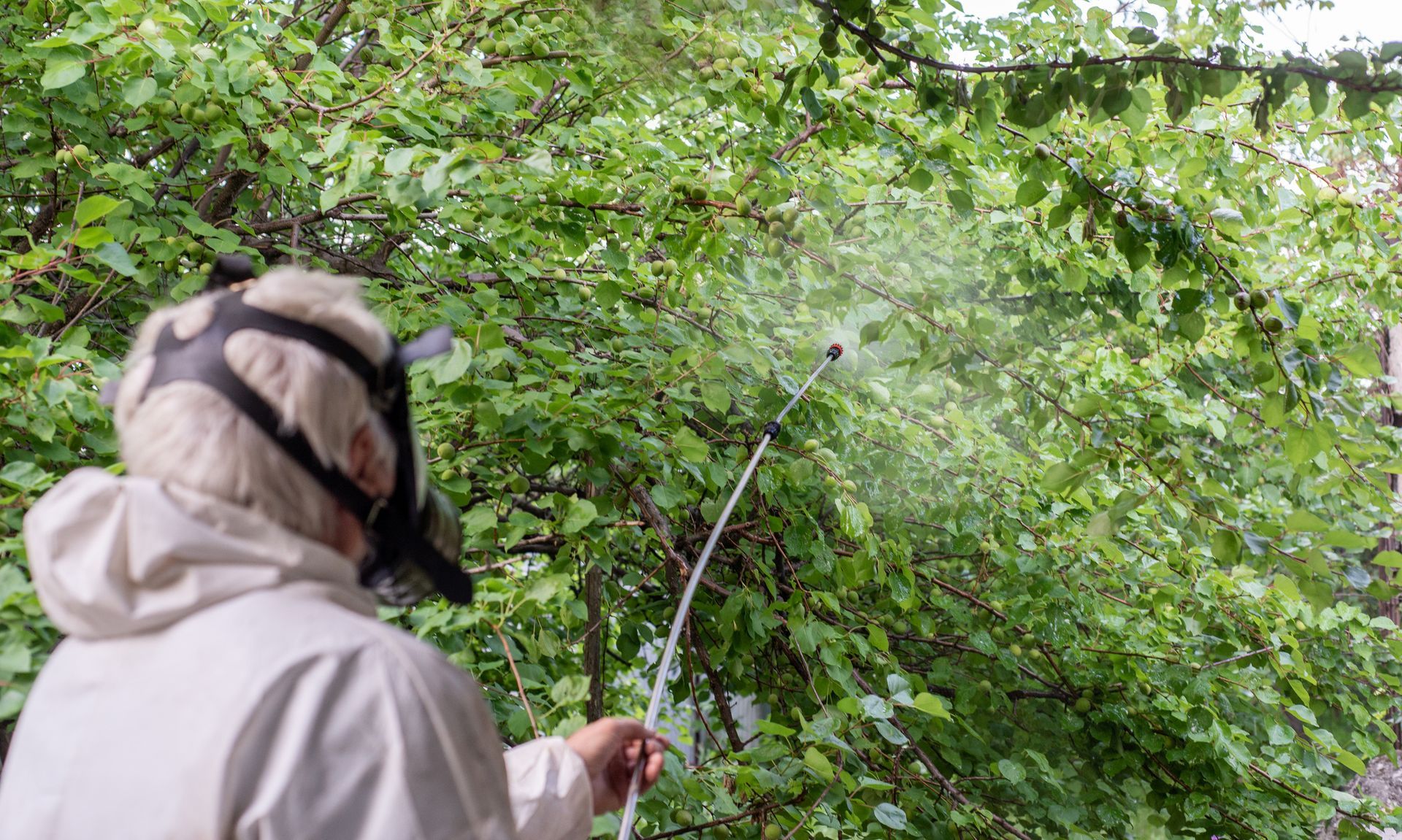 disinfestazione aree esterne