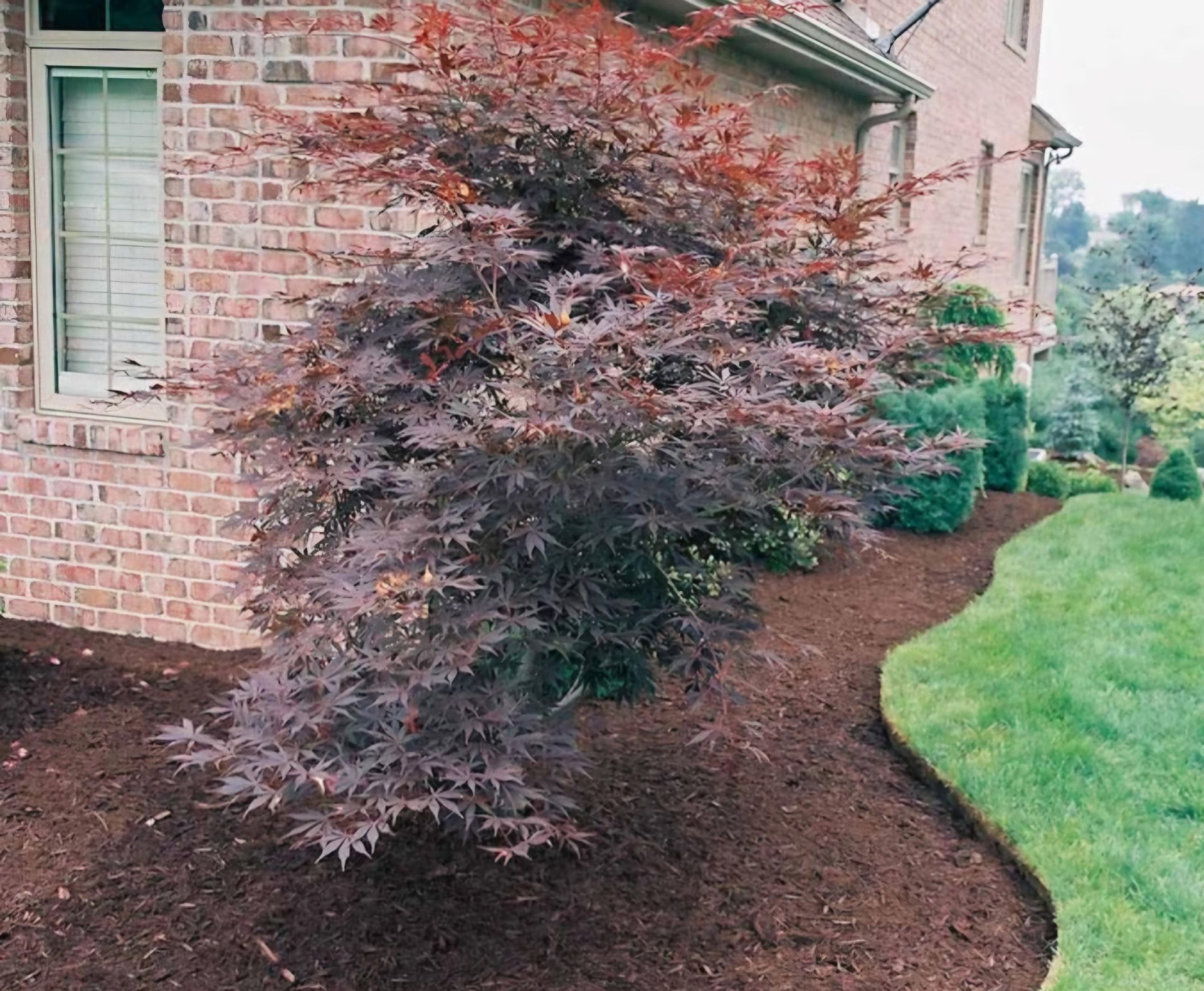 A brick house with a tree in front of it