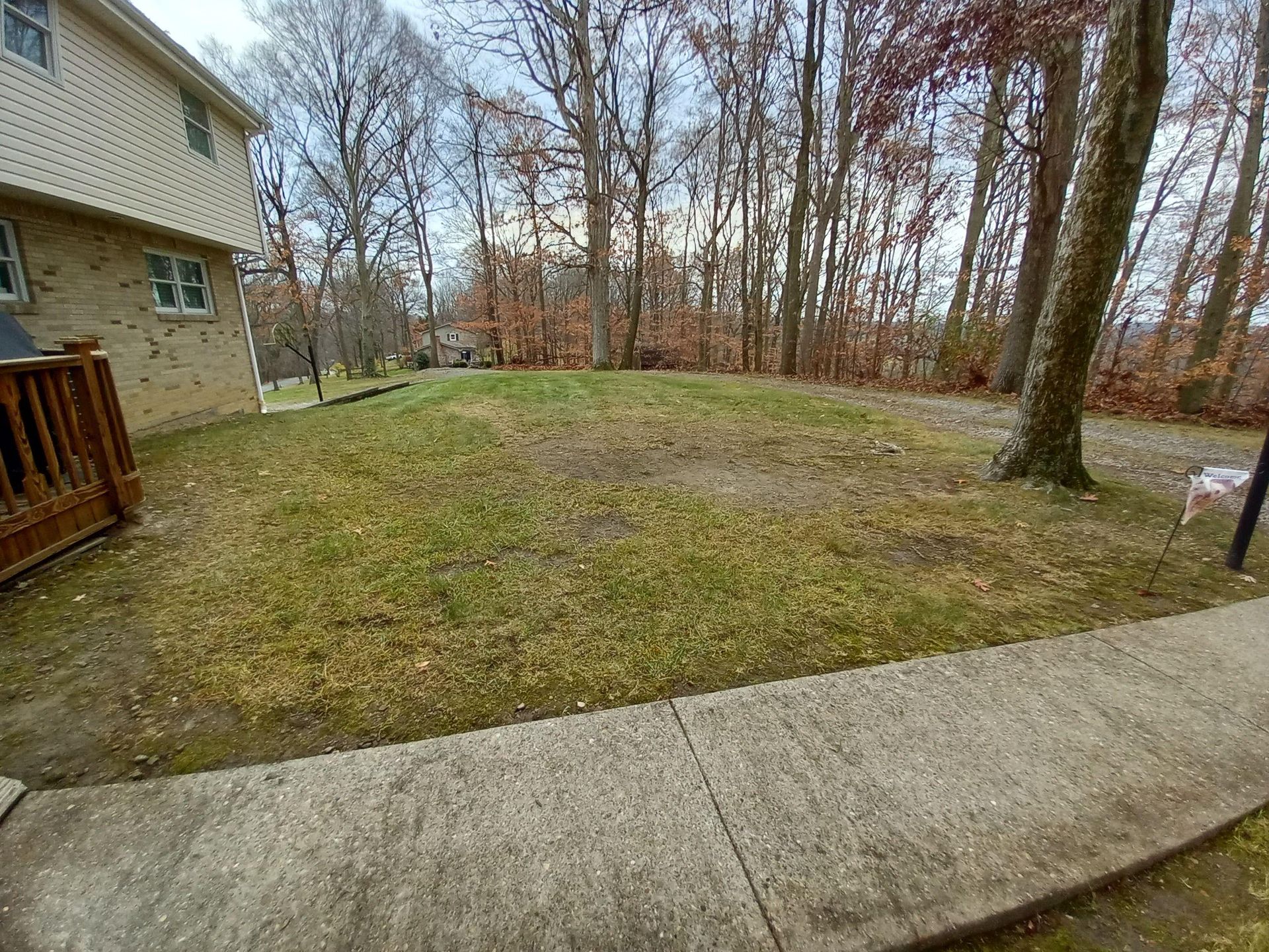 A large lawn with trees in the background and a sidewalk in front of a house.