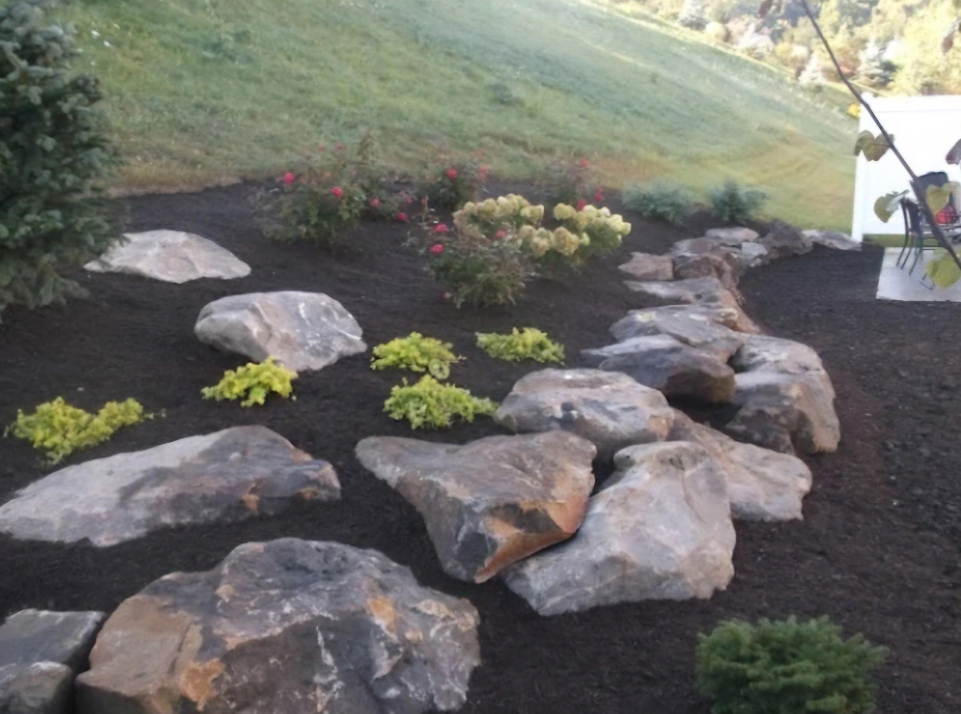 A garden with a lot of rocks and plants