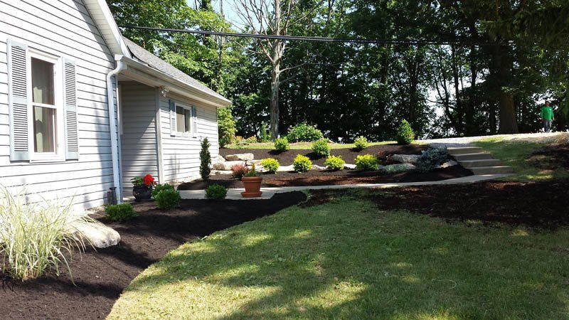 A house with a lot of plants in front of it