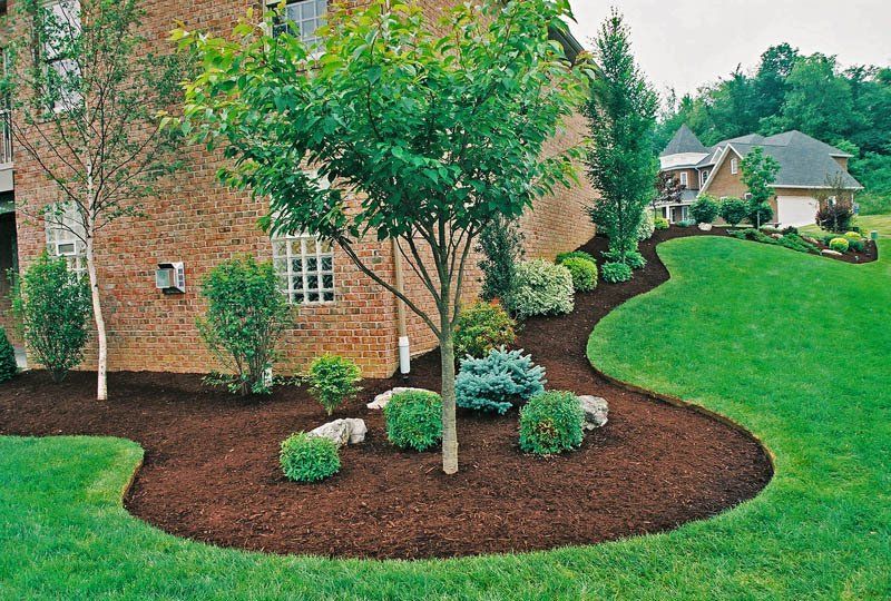 A house with a lush green lawn and trees in front of it.