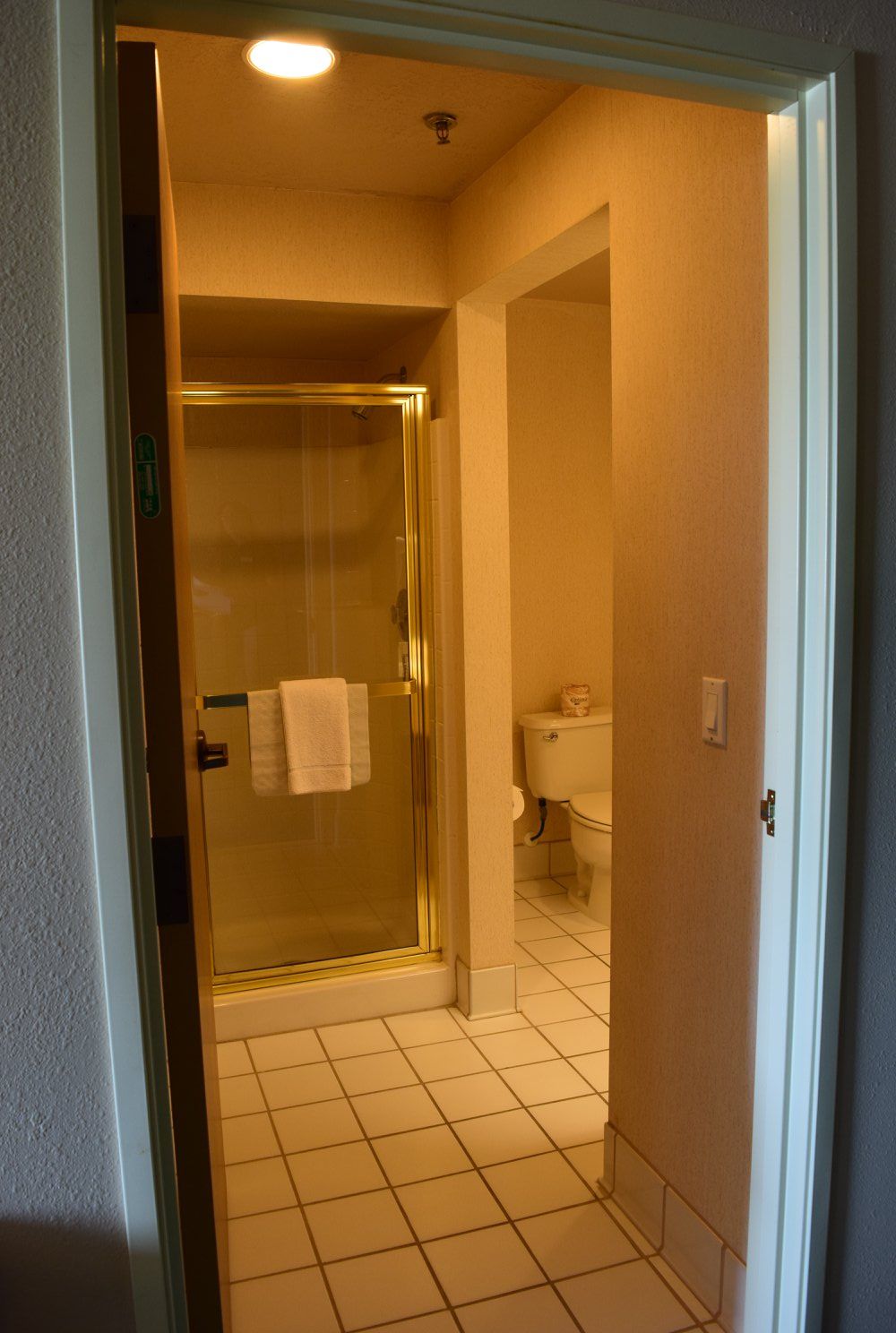 A bathroom with a walk in shower and a toilet