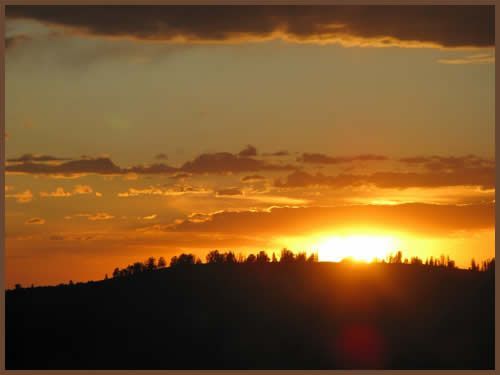 A picture of a sunset with trees in the foreground