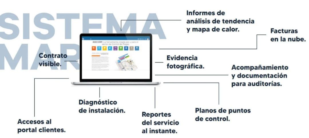 FUMIGACIONES MAR