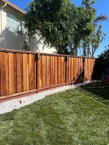 Lush garden with glowing pathway lights. Dark mulch, green grass, and various plants illuminated at dusk.