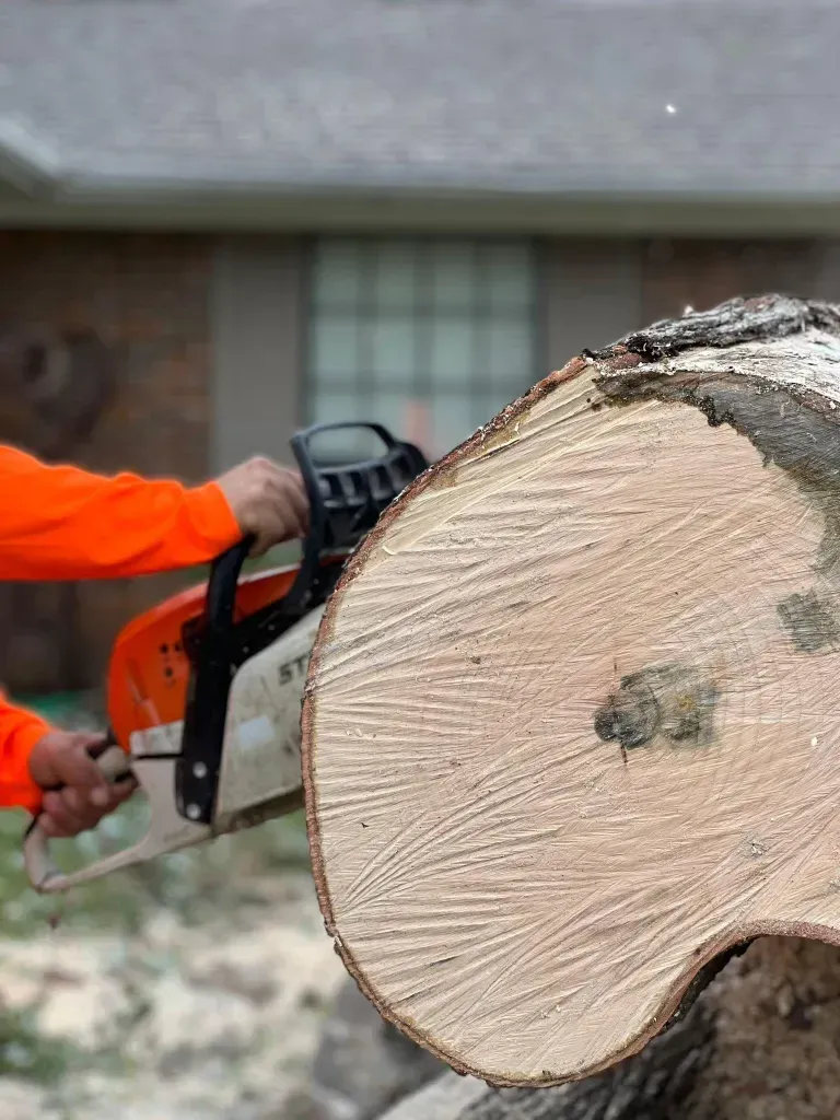 A man is cutting a large piece of wood with a chainsaw.