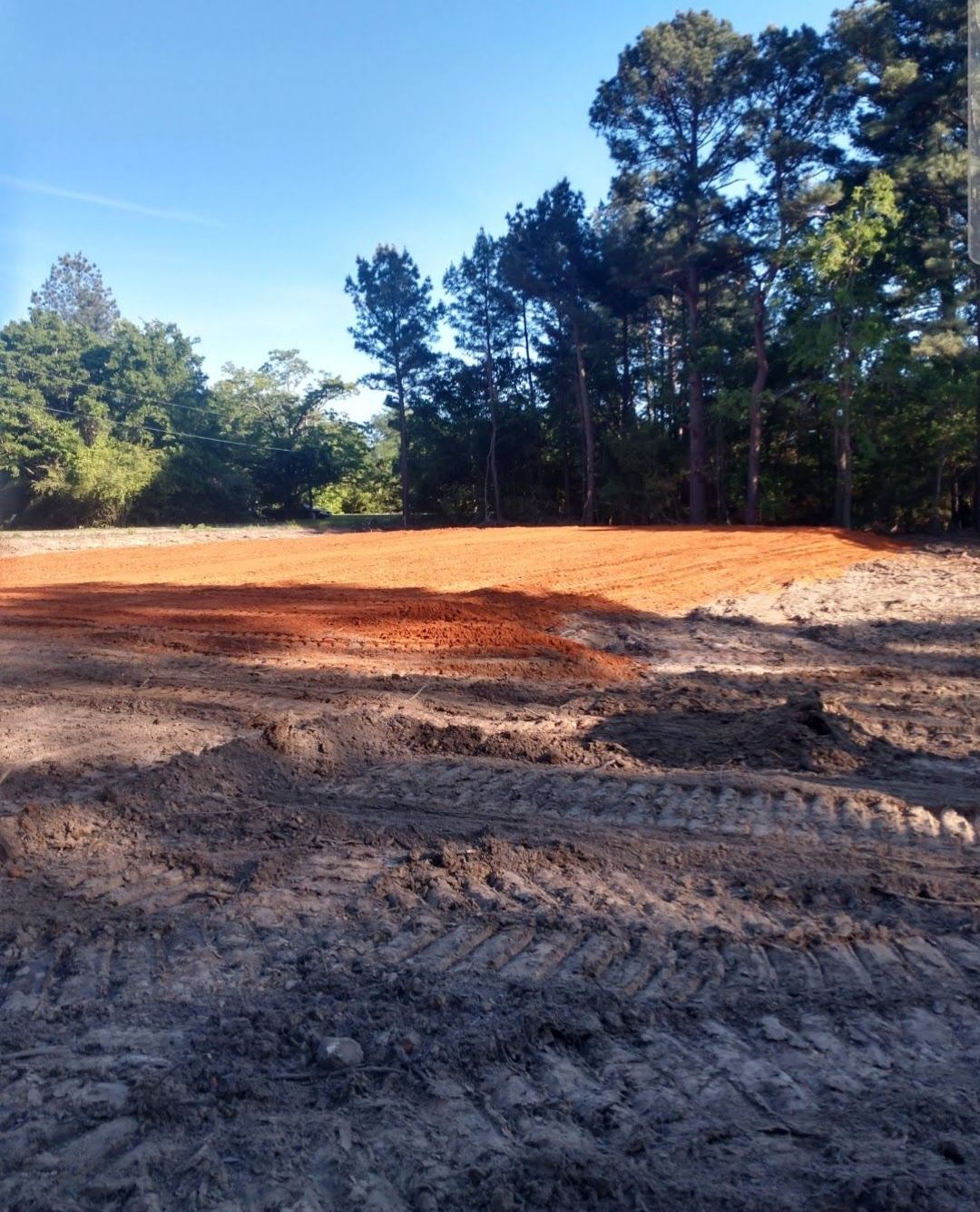A dirt field with trees in the background and a blue sky