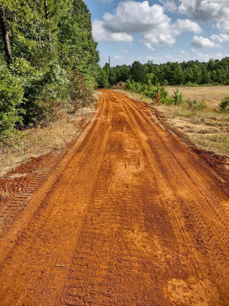 A dirt road going through a field with trees on both sides.