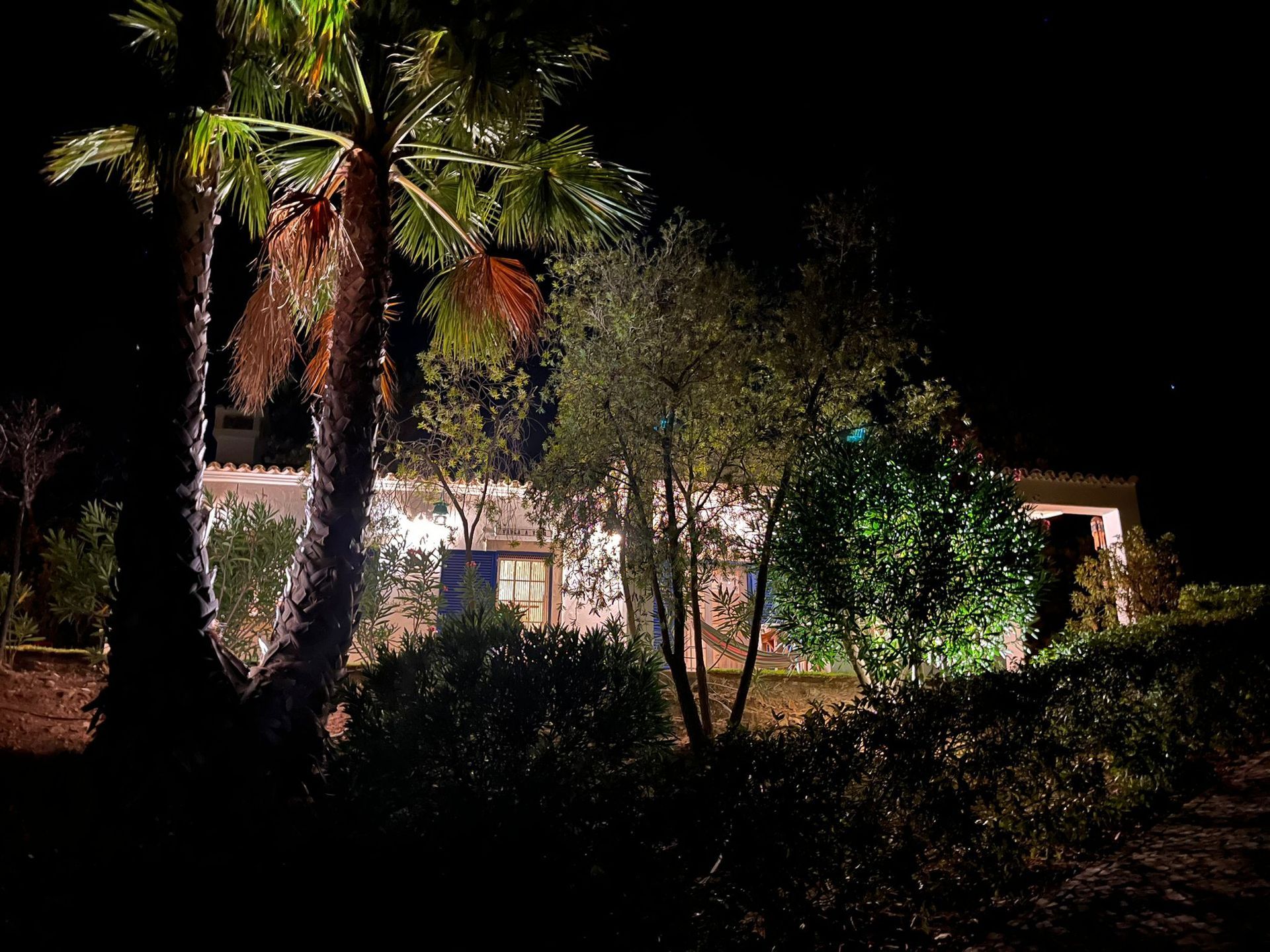 Een huis is 's nachts verlicht met palmbomen op de voorgrond