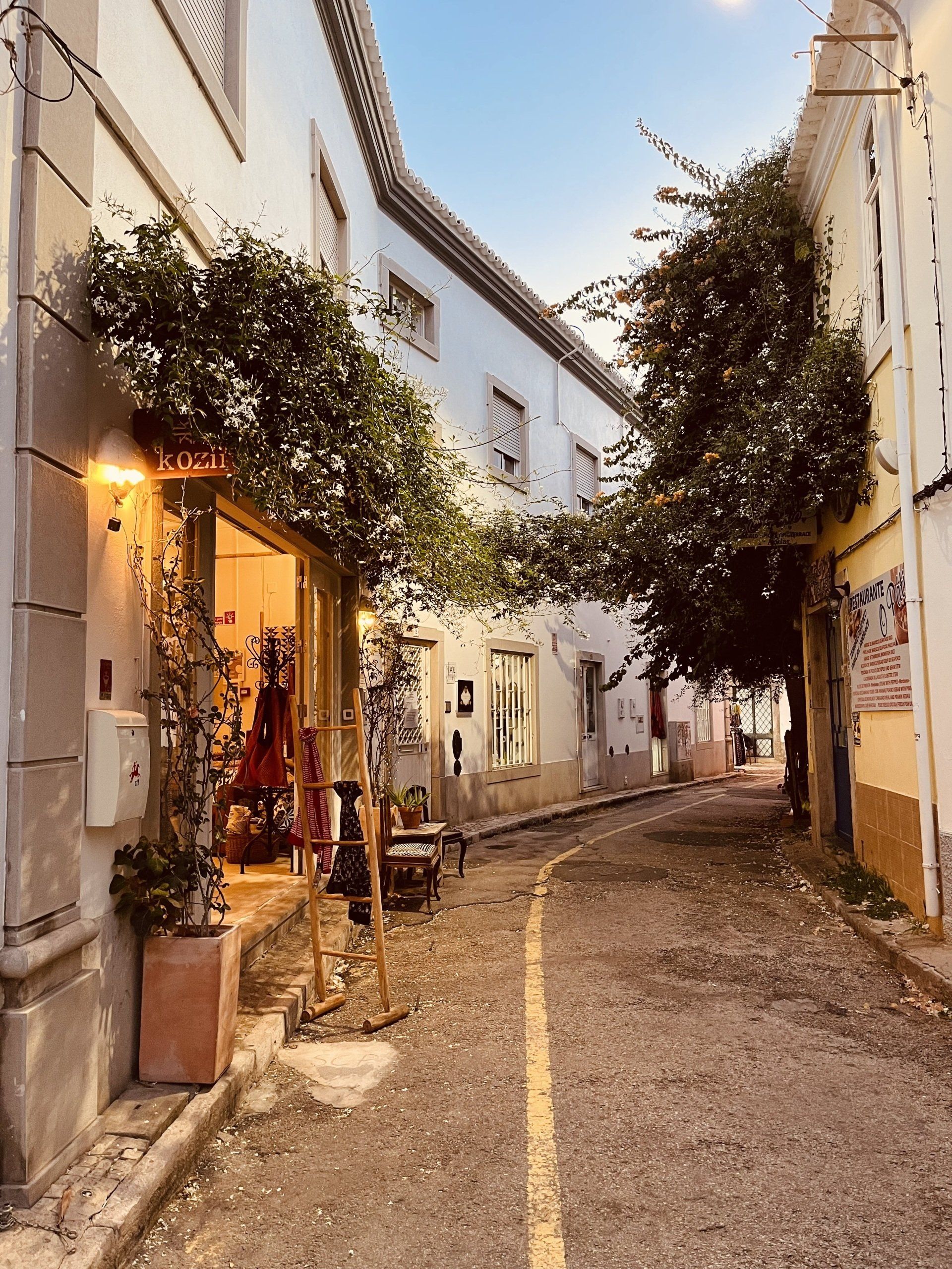 Een smalle steeg tussen twee gebouwen met bomen aan de zijkant