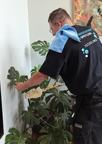 A man in a black shirt is cleaning a plant.