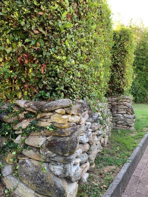 Muro di pietra con siepi verdi potate, lungo un sentiero lastricato e un'area erbosa.