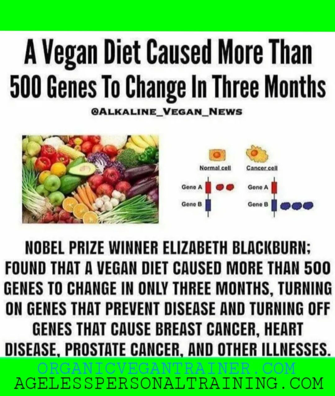 A vegan diet caused more than 500 genes to change in three months