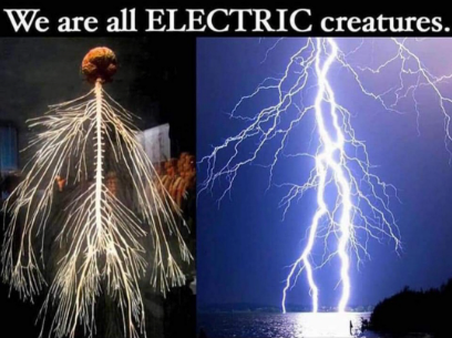 A poster that says we are all electric creatures