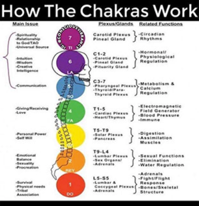 A diagram showing how the chakras work