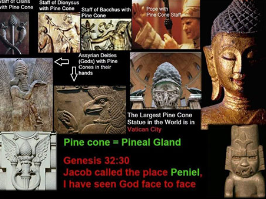 A collage of images with the words pine cone pineal gland