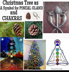 A christmas tree as a symbol for pineal gland and chakras