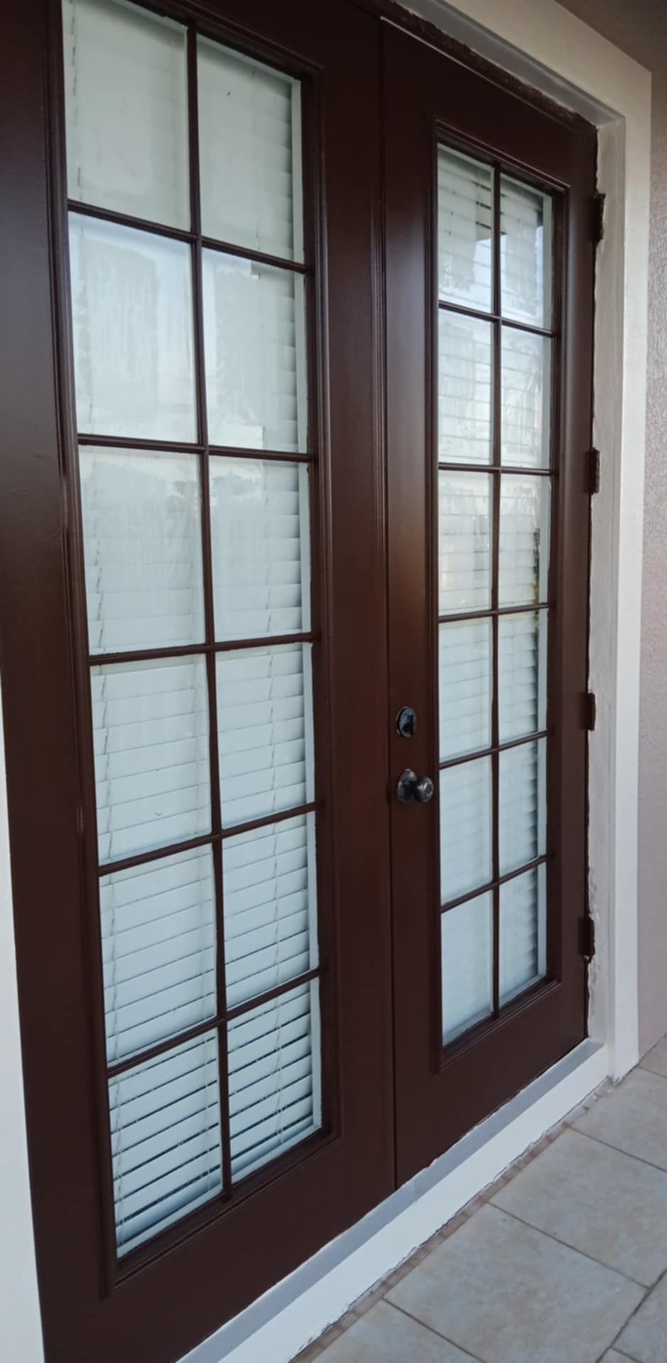 Dark brown double French doors with glass panes and closed white internal blinds.