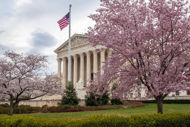 Supreme Court and cherry blossoms  – Springfield, OR – Thorp Purdy Jewett Urness
