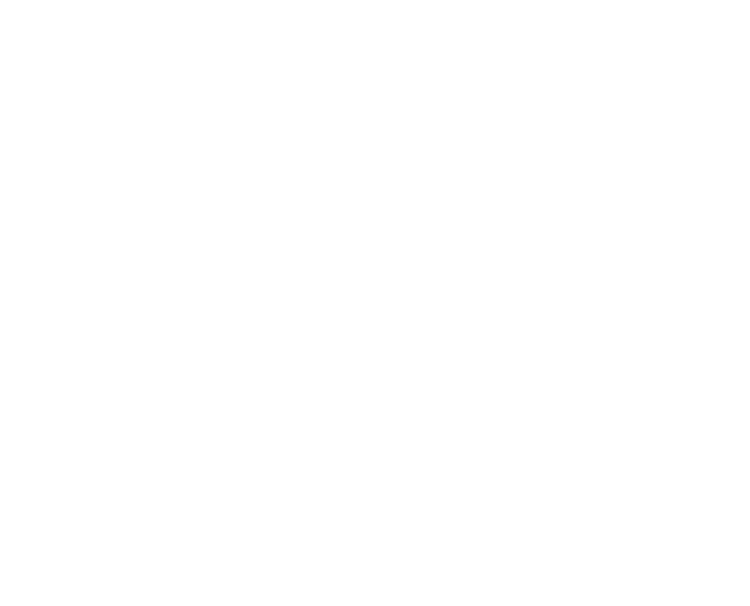 The Hidden Pilot Project