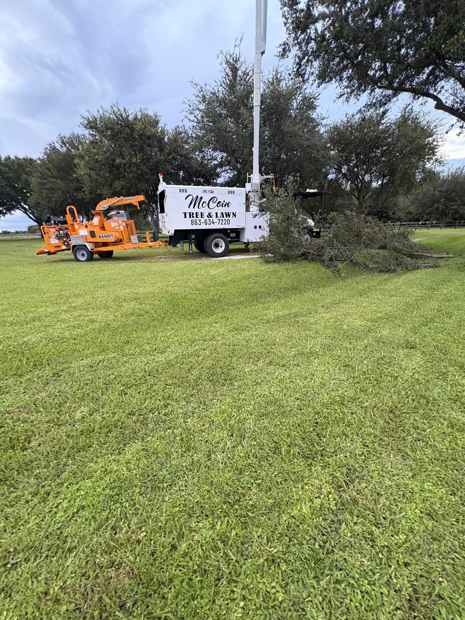 Tree service truck and chipper on green grass, trees in the background. Branches lie nearby.