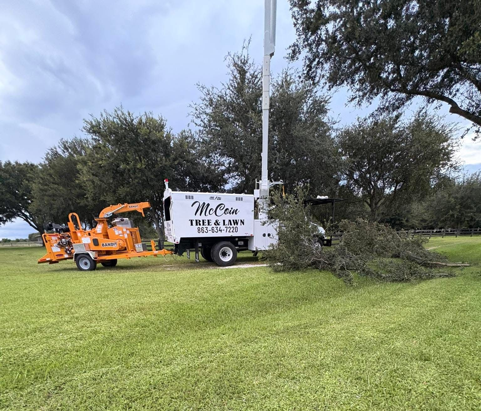 A tree service truck and wood chipper in a grassy area, cutting tree limbs.