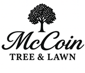 McCoin Tree & Lawn logo: tree illustration above script text.