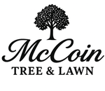 McCoin Tree & Lawn logo: tree illustration above script text.