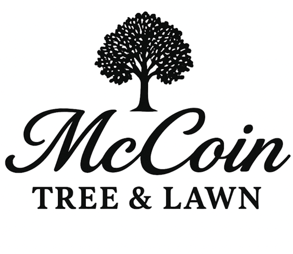 McCoin Tree & Lawn logo: tree illustration above script text.