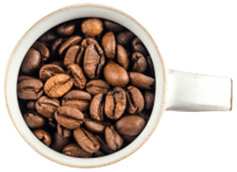 Coffee Beans | Gloria Jeans Mackay