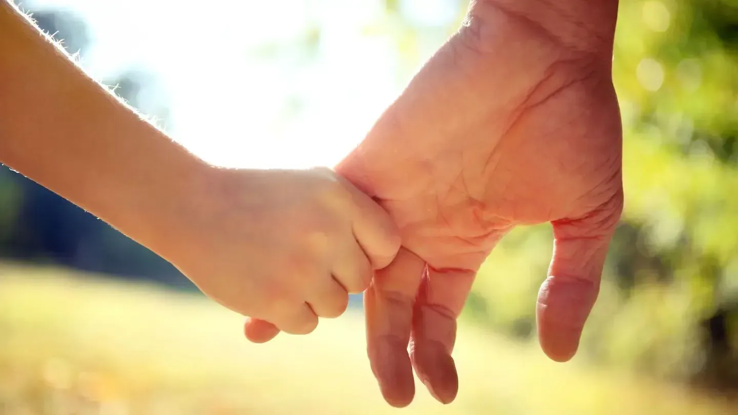 A child's hand holding an adult's hand, outdoors in a sunny, blurred background.